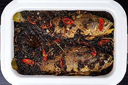 NצnYANI