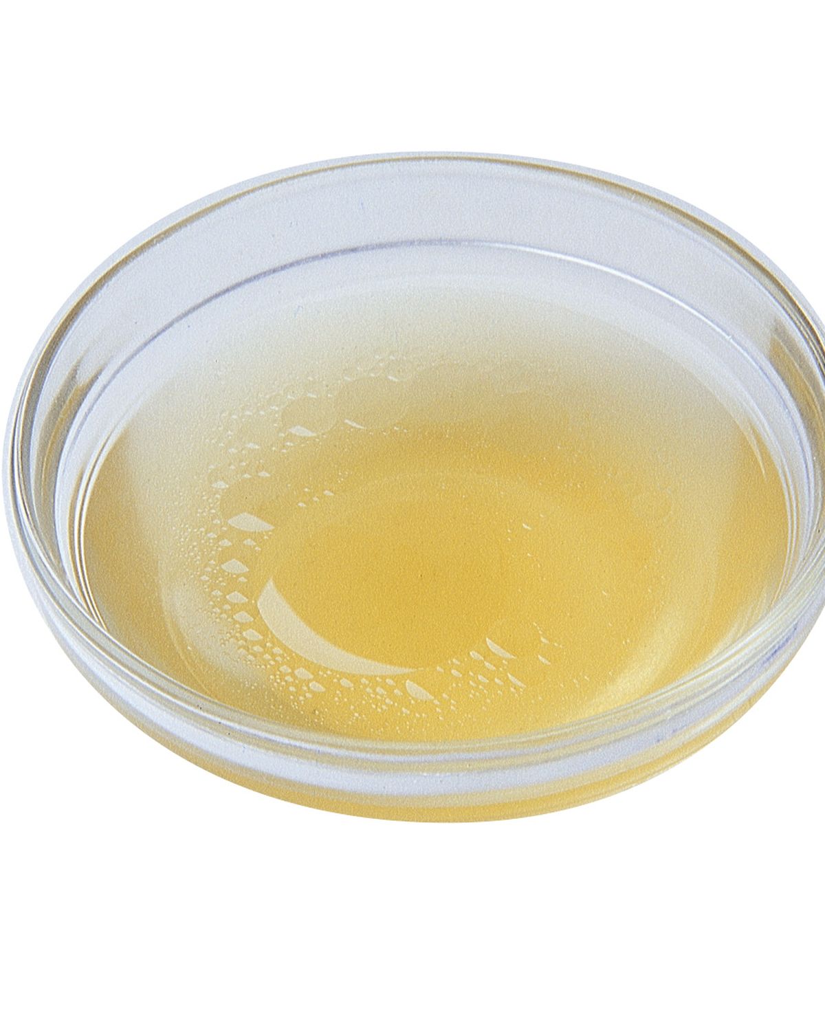 食譜:魚高湯(2)