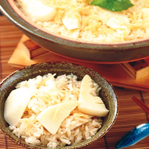˵zg綺