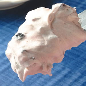 Ųo`